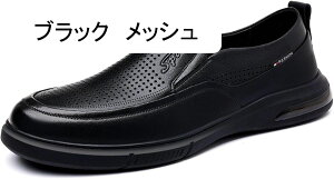 [t@[ Xb| Y rWlX JWAV[Y amC vC ~ hCrOV[Y 傫TCY  ʋC C y ʋΒʊw lߒp EH[LOV