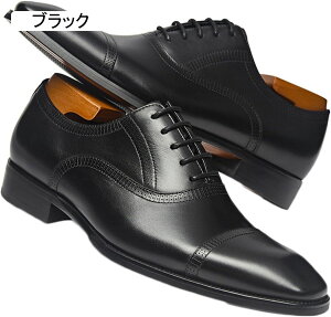 rWlXV[Y Y tH[}V[Y {v IbNXtH[hV[Y H vC   ~ ʋC 傫TCY  JWA ʋ ItBX amC EFfB