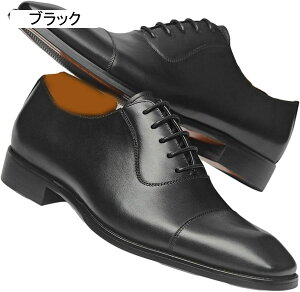 YrWlXV[Y IbNXtH[hV[Y vC amC Xg[g`bv H Be[W h ʋC ʋ 傫TCY A ItBX I[V[Y tH[} JWA