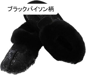 [gu[c Xbp ~p {A fB[X Xm[V[Y  h 傫TCY V[g [V[Y r h h ZC ϖ h pu[c [N EH[L