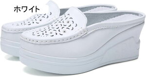 fB[X  JV  V[Y Xb| i[XV[Y [t@[V[Y Xb| Xj[J[ T_ [Jbg JWA V[Y C ʋ ʊw   p