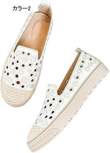 [Jbg Xj[J[ Xb| fB[X JWAV[Y ʋC   RtH[g EH[LO y ₷ IV s ʊw ʋ