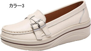 fB[X Xb| 傫TCY C t  }}  ₷ ؂ JWA V[Y [t@[ Xb| Xj[J[ Vv  EFbW\[ q[5cm ᔽ