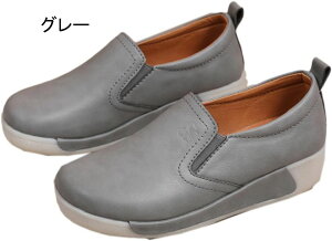 V[Y fB[X ₷ ₷ ɂ TChSA JV Xb| [t@[ RtH[g Xb| EFbW\[ _炩 y fB[X Xb|V