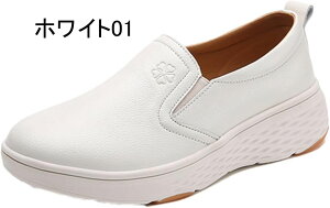 i[XV[Y y É d Ȃ C zCg Xj[J[ Xb| fB[X [t@[  ʋC y y Ōt JWA _炩 RtH[g r }}V[Y 