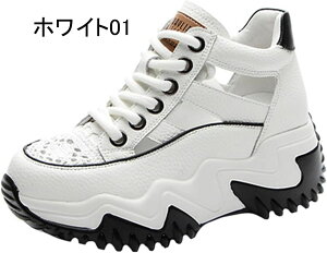 Xb| Xj[J[ fB[X V[Y V[NbgV[Y RC  20 30 40 傫TCY X|[cT_  JWA 킢 Xj[J[ ₷ 