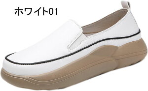 Xb| Xj[J[ RtH[gV[Y [Jbg  fB[X t  ᔽ n 傫TCY JWA l y ₷ EH[LO