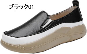 Xb| Xj[J[ RtH[gV[Y [Jbg  fB[X t  ᔽ n 傫TCY JWA l y ₷ EH[LO