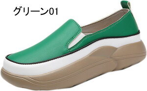 Xb| Xj[J[ RtH[gV[Y [Jbg  fB[X t  ᔽ n 傫TCY JWA l y ₷ EH[LO