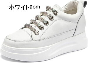 Xb| fB[X  Xj[J[ LL ۂ rW[ TCY ɂȂ zCg ubN ₷ tbgV[Y [Jbg ؂ y^R y fb