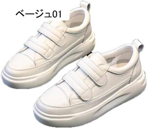 Xj[J[ 3cmq[ y ɂȂ fB[X V[Y  Xb| 킢 l tbgV[Y Xb| [t@[ EH[LO y }WbNe[v ₷ fB