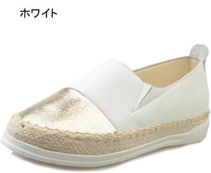 Xb| fB[X W[g [Jbg ubN  zCg  Xj[J[ Vv tbgV[Y [q[ 2.5cm Xj[J[Xb| [t@[ ₷ Ȃ