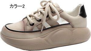 Xb| fB[X  [Jbg Xj[J[ fB[X C X|[cV[Y 傫TCY IV Xj[J[ n JWA t  H  Xb| T_ ҂ݏグ 