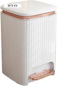 S~ ݔ p^ _Xg{bNX 8bg 13L RpNg  15L y_S~ t^t y_ ې mg[ S~ ݔ p^ _Xg{bNX 20bg 8L R