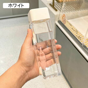 EH[^[{g lp`   NA{g vX`bN Ђt L {g Wt ϗϔM {g y ֗ ϋv  LbY p qp oRp W X|