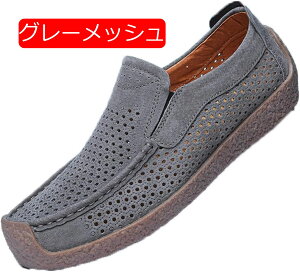 [t@[ Y vC {v U[ ؂ XG[h JV amC rWlXV[Y hCrOV[Y K y  ʋΒʊw _炩 EH[LO XbvI ₷ 