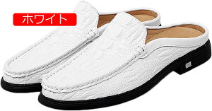 U[ [t@[ JV ƂȂ YXbp T{T_ {v NR^ j hCrOV[Y ^]C rWlXXbp amC ItBXT_ t Г J