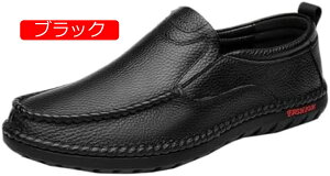 Y Xb| [t@[ hCrOV[Y Vv n y JWA  ItBX K _炩 h Ȃ ʊw ʋ  RtH[g AEghAV[