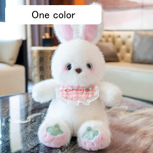 ʂ ETM  e   D  YQ   sN p[v ʂ ˂ނ˂   Ԃ    o[Xf[Mt