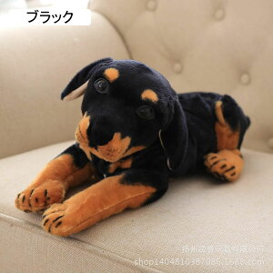 Aʂ _VA ʂ g r[O L[g YQ lC K eBbVP[X Vzj Mtg XgXU bNX CeA  45*18*23cm