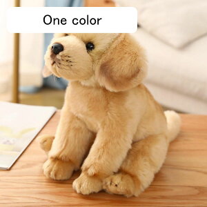 uh[ʂ  hbO Aʂ u Ck  ʂ IIJ~D p Q ObY 킢 qǂ  fXN CeA