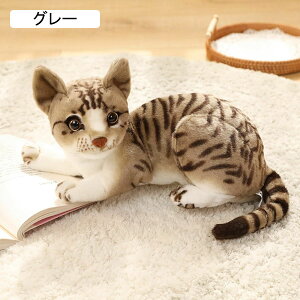 L D lR ʂ Aʂ u 27cm    ӂӂ q 蕨 RNV X Mtgʂ Be ֏ I[ig
