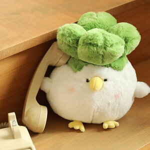  ʂ D  NbV   ܂ 25cm  薍 Q    ll LbY qp }^jeB[  v[g