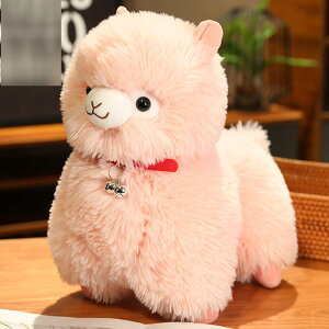 ApJD ʂ  A r ApJʂ   YQ ё ʂ VM[ n 35cm u q̓ ޏ ̎q FB a j Mtg