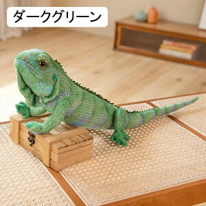 gJQʂ A 薍  YQ ߋ Aj}  ӂ f mLN^[ H|i 낢 C ˂ނ˂ O[ a o[Xf[