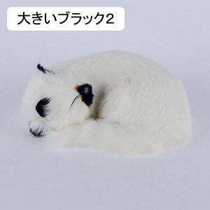 A Lʂ ˂ u   lR  ё ӂӂ f VM[  ʂ 킢 LbY ԗp av[g  Be 