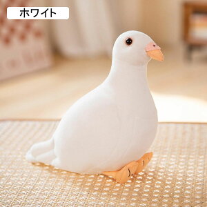  A ngʂ    ̐} u 20cm ʂ Aj} n  Q V~[V IȒ j[N ʔ ֏ j NX}X