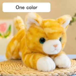 lRʂ  ˂ A 킢 LD YQ ߋ p  x GG u i ll 50cm Ԃ q 蕨  v[g o^C