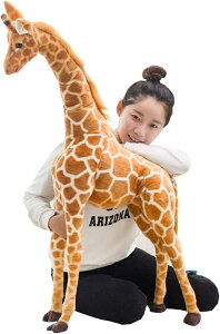 ʂ L   Be     mbߋ 킢 CeA X  ۈ牀 Aʂ 傫TCY Aj} { wZ