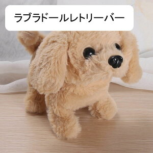 ʂ  R  dߋ Č  ETM ybg  i  {bghbO ߋ ۈ牀 q Mtg av[g hV̓ oYj 