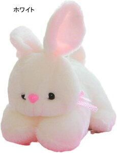 ܂  ETMʂ ʂ D YQ  26cm p Q  ӂ  ObY C ˂ނ˂ fXN/Q܂ G B