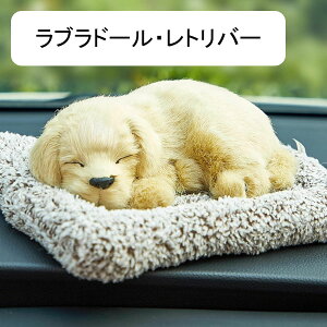 Ԃ̑  ʂ uh[Ego[ nXL[  ԗp {ɖ錢̂ʂ Y  ԓ C    u  ItBX  CeA a