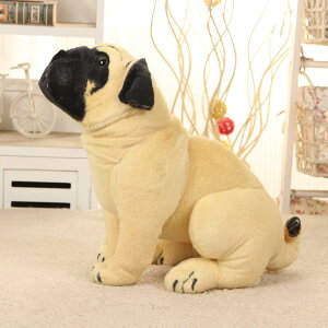 t`uhbO Aʂ    ӂӂ  C Sn悢 X\ a v[g ǂ̓ LbY CeA v hV̓  