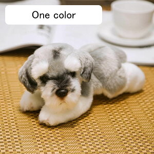  u A ViEU[ ʂ 킢 { 镚 hbO G  ItBX  X  v[g 蕨 Wp u^ ANZT[ a Be