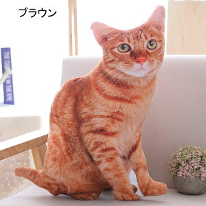 Lʂ [ybg 3D { A  u vg  NbV 薍  n ObY e _炩 ʔ @\ 50cm a o[Xf[M