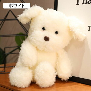 ʂʂ ܂  ʂ D YQ  Aj} Q  ӂ  ObY C ˂ނ˂ JXj  u LO  o^