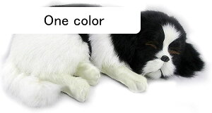 Aʂ u ʂ  f  ͌^ ߋ H|i 蕨 tBMA A ʂ Q rO[  {   R Be Ə