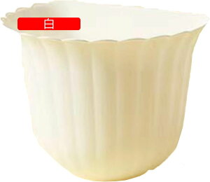 S~ Ǌ|S~ _Xg{bNX ݂艺S~ ^ Lb`/ItBX/xbh[ɓKp a ȃXy[X Lb`[ oɊ| ݂艺S~ HIhAɂ ()