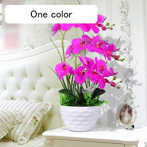 Ӓ  ͂Ȃ A ԃCeA ϗtA  ԑ A { ԕr ͂Ȃ k ins  ̓ CeA 蕨 x_  ]