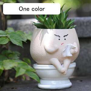 面白い顔の植物ポット 屋内植物用 セルフ散水 かわいいトイレプランター 多肉植物の植木鉢用 ユニークなヘッドプランターギフト 誕生日 クリスマス