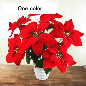  ͂Ȃ ԃCeA A ϗtA  A { ϗtA lH ͂ȂO[  _ k CeA 蕨 ԉ x_ K[f