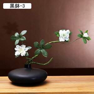  ͂Ȃ 픫 ԃCeA ϗtA  A[gt[ t[AWg { lH lHA sv  _ k z[  