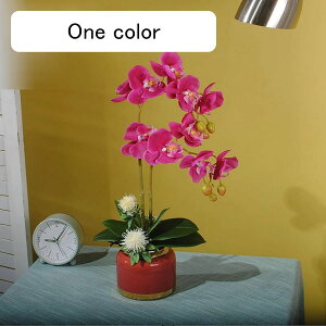 ԃCeA Ӓ A ͂Ȃ ~jԊ  ϗtA A { ͂Ȃ  _ k Be p z[ 뉀 Lb` ItBX A[g u A