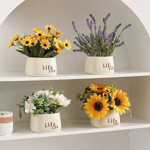 qiMN ԃZbg e ԃCeA  Ђ܂ ۂ AWTC ԑ ͂Ȃ  ϗtA { ԕrt k ins  蕨 v[g p 