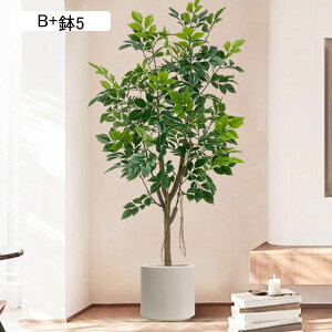 lHϗtA A KW} { CeAO[ tFCNO[ ^ Q쏜sv ͂ȂO[ lHA ϗt ϗtA CeAEFfBO x