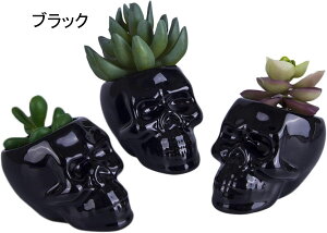 ubNZ~bNXJ^Av^[|bg3Zbg NGCeBuT{eA|bg yMz_[ z[ItBXfXNfR[V